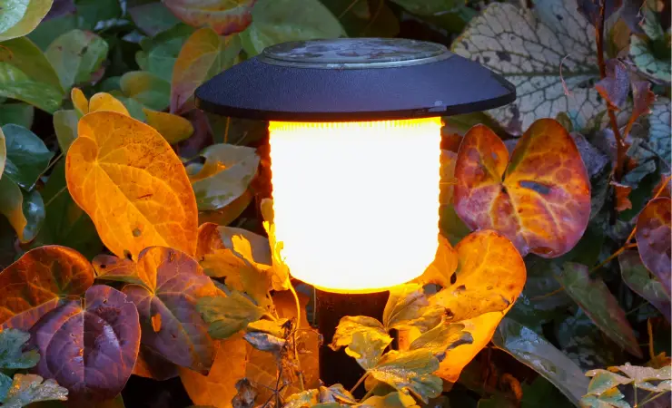 do solar lights need direct sunlight