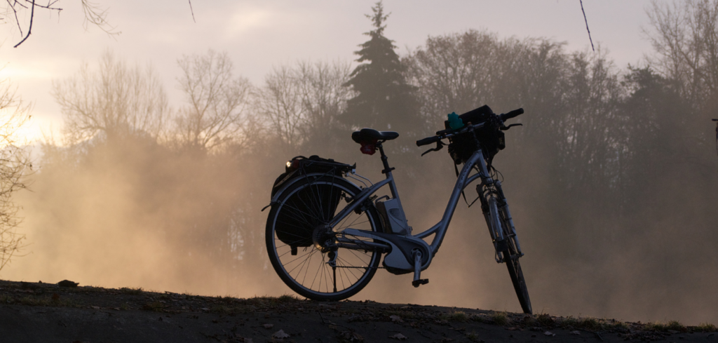 Ebike in woods