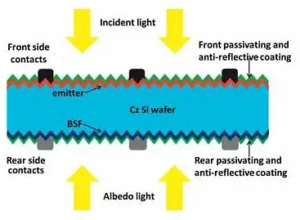 Bifacial solar cells schematic