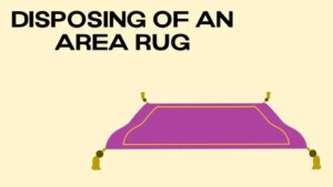 Dispose area rug 1024x576