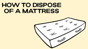 Dispose mattress 1024x576