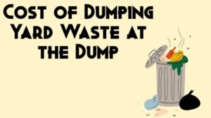 Dumping yard waste 1024x576