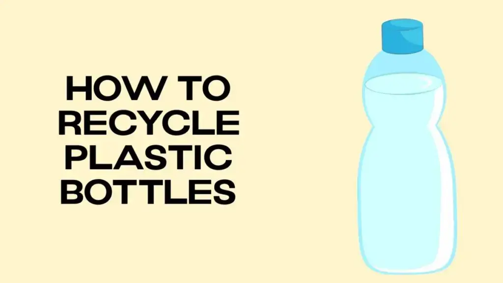 plastic bottle