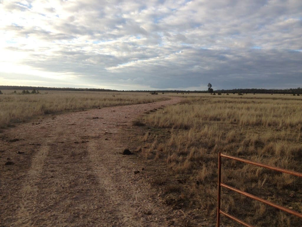 Bulli Creek Solar Park 2