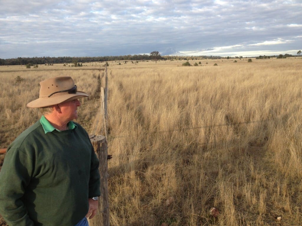 Bulli Creek Solar Park 3