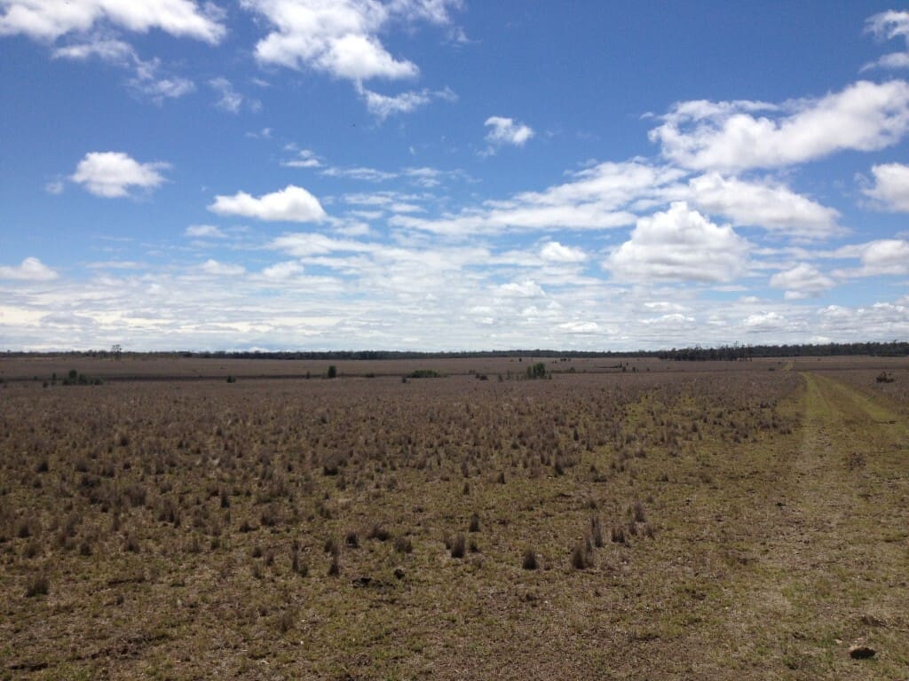 Bulli Creek Solar Park 1