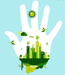 5 ways to be Sustainable