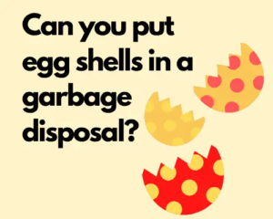 Can you put eggshells in the garbage disposal