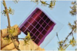 EU organic solar cells 2 1024x681