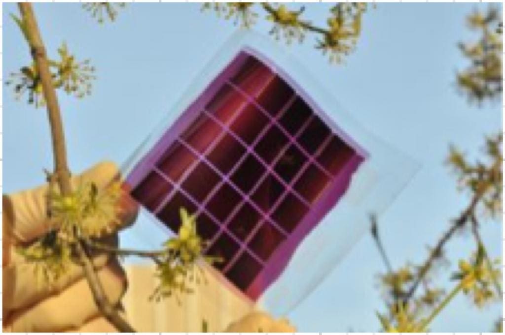 EU organic solar cells 2