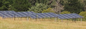 Woolomin NSW Solar Farm Close