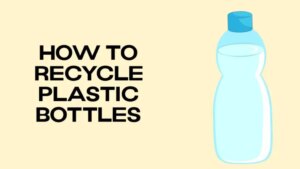 plastic bottle 1024x576