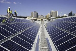 STC Greening the Wharf Roof1