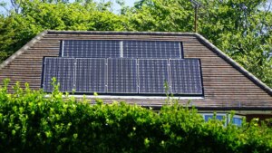 trees and solar panels