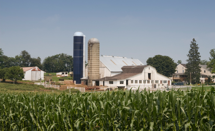 can amish use solar power