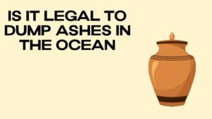 1694336575 ashes 1 1024x576