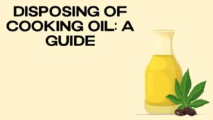 1694363902 Disposing cooking oil 1024x576