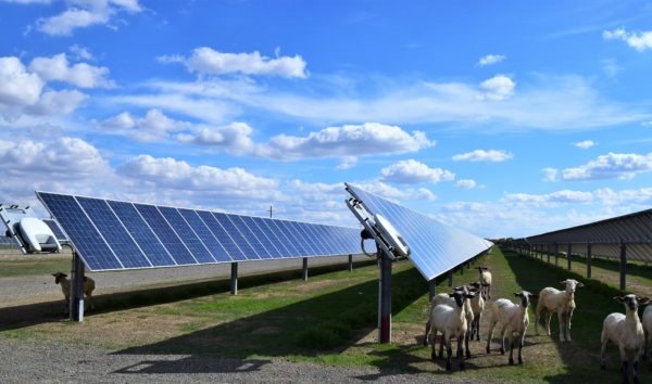 solarni paneli obnovljiva energija 74545